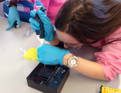 Amgen, Biogen, MiniOne, Electrophoresis, DNA, Dublin, Classroom, Biology