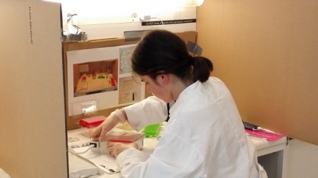 Student International Biology Olympiad Practical Tests (IBO) 2015