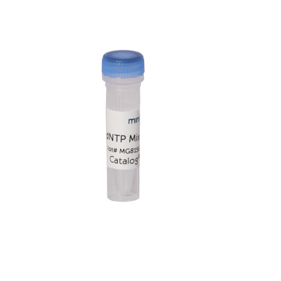 MiniOne dNTP Mix (M6203)