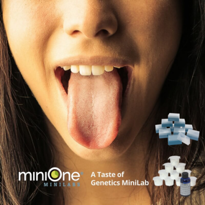 A Taste of Genetics MiniLab with Electrophoresis Reagents and Micropipette Tips (M6013TAE)