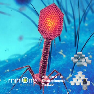 PCR 101 and Gel Electrophoresis MiniLab With Micropipette Tips (M6003TAE)
