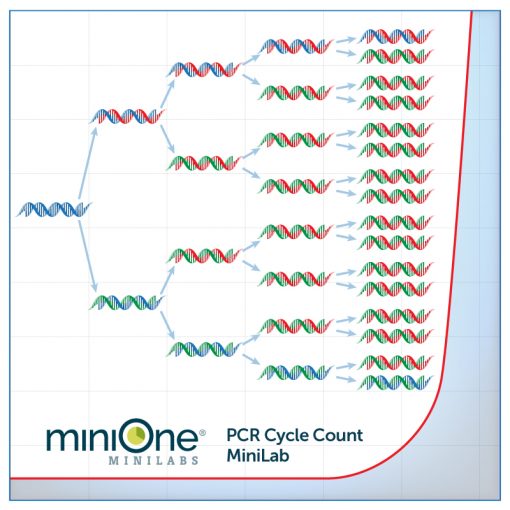 PCR Cycle Number Analysis MiniLab (M6005TAE)