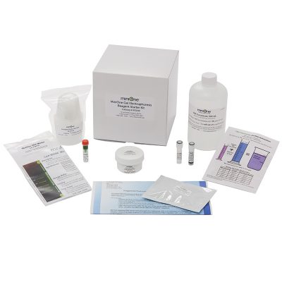 MiniOne® Electrophoresis Reagent Starter Kit (M3200)