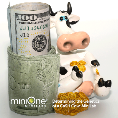 Determining the Genetics of a Ca$h Cow MiniLab (M3011TAE)