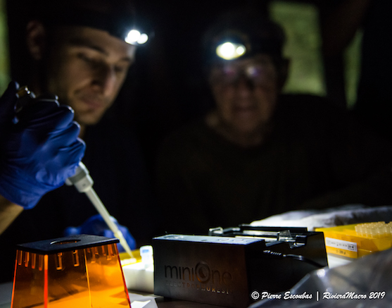 Electrophoresis 101 MiniLab