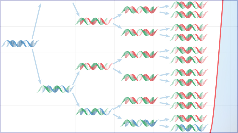 Colorful Dye Electrophoresis MiniLab