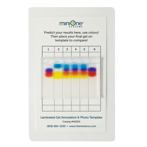 Laminated Annotation Cards for Color Dye Electrophoresis