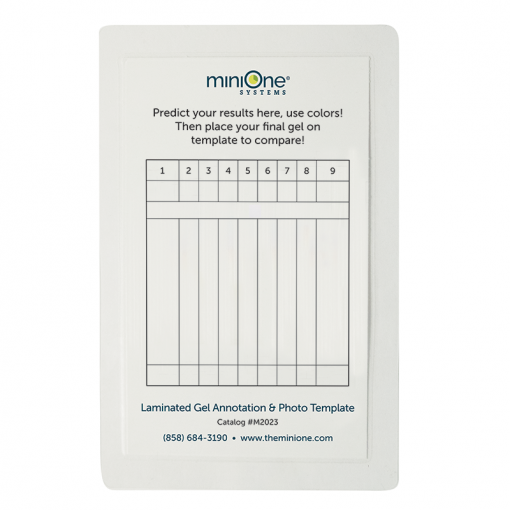 Laminated Gel Annotation & Photo Template for Color Dye Electrophoresis - Set of 10 (M2023) - Image 2