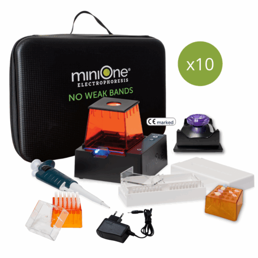 MiniOne Electrophoresis System for Distance Learning Classroom Set (M1013-UK)