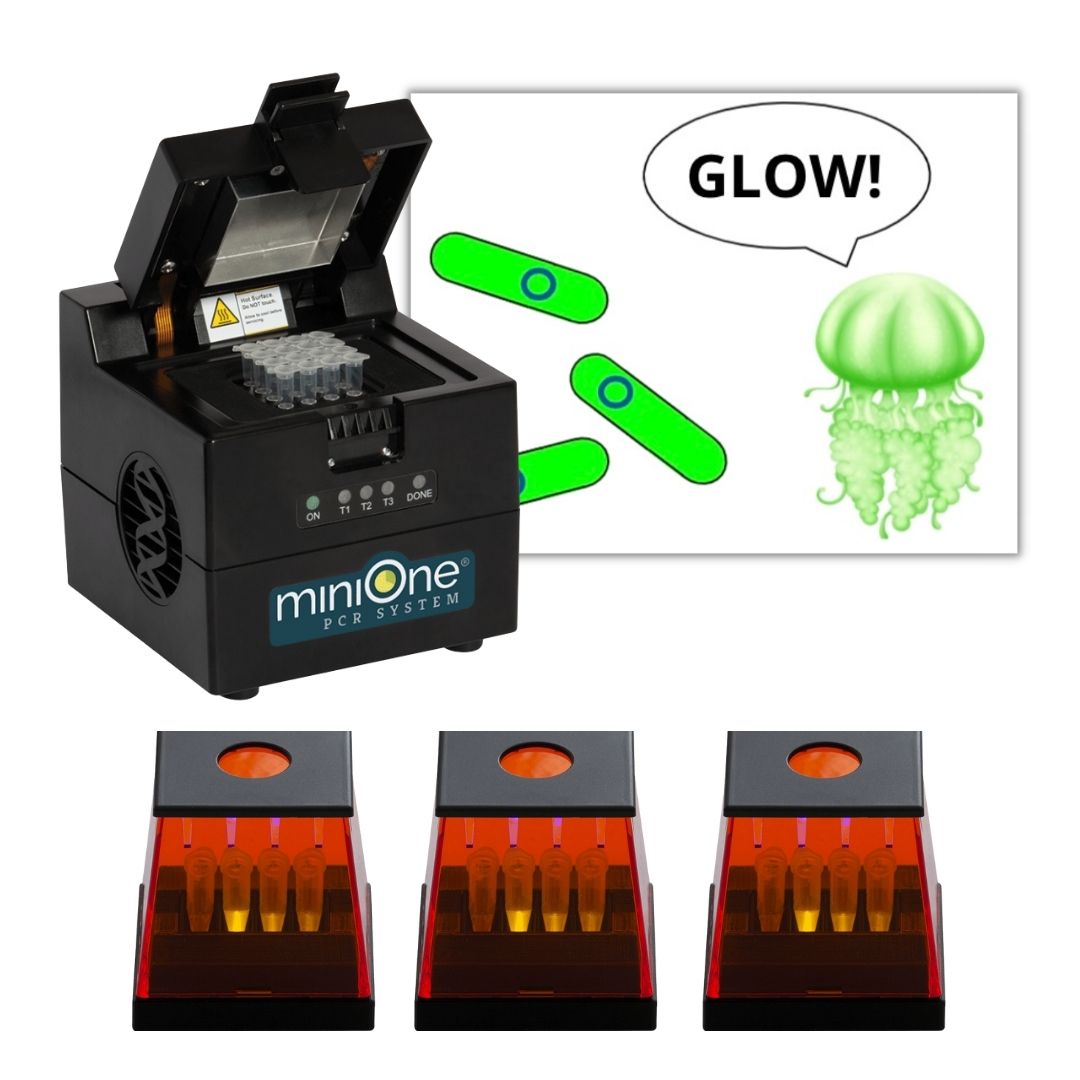 Let It Glow™ Bacterial Transformation MiniLab + MiniOne PCR System + 3 The Winston™ Fluorescence Readers (M6302)