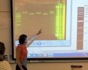 Colorful Dye Electrophoresis MiniLab