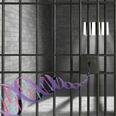Molecular Ladder to Freedom - DNA Exoneration MiniLab (M3018TAE)