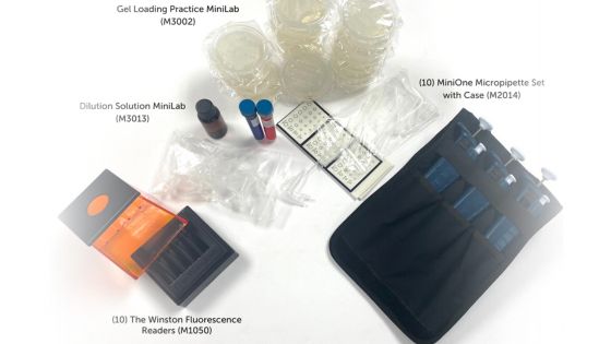 Colorful Dye Electrophoresis MiniLab