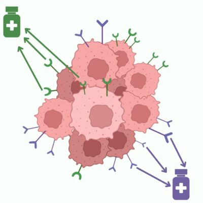 Personalized Medicine: Diagnosing and Targeting HER2 and ER+ Breast Cancer MiniLab (M3023TAE)