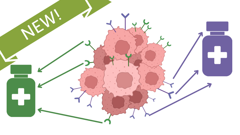 Her2-MiniLab (1) Colorful Dye Electrophoresis MiniLab